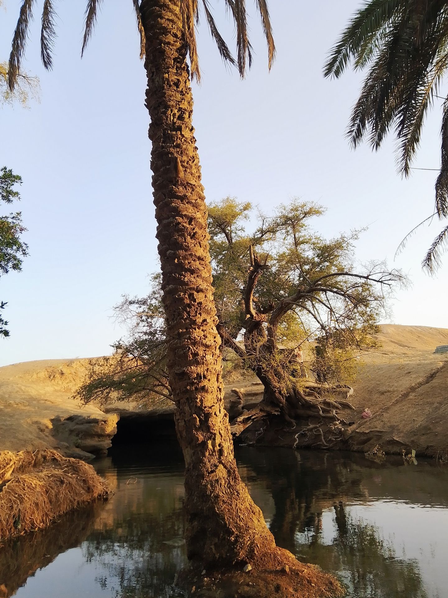 تصویر روستا